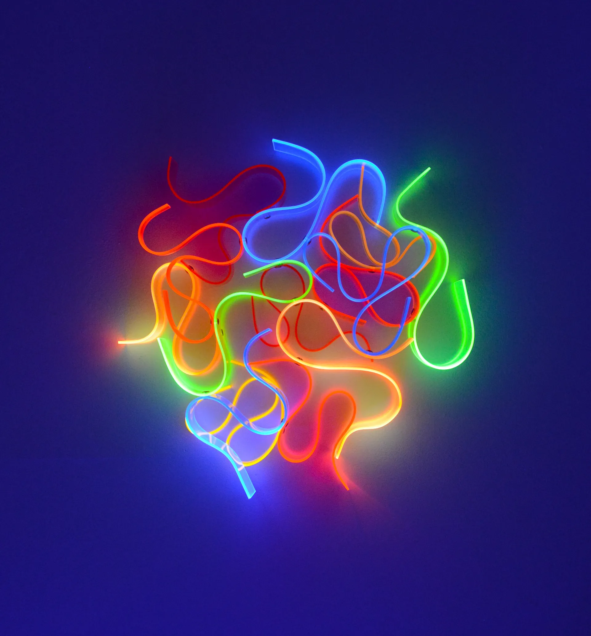 Neon-Kringel I, 2024